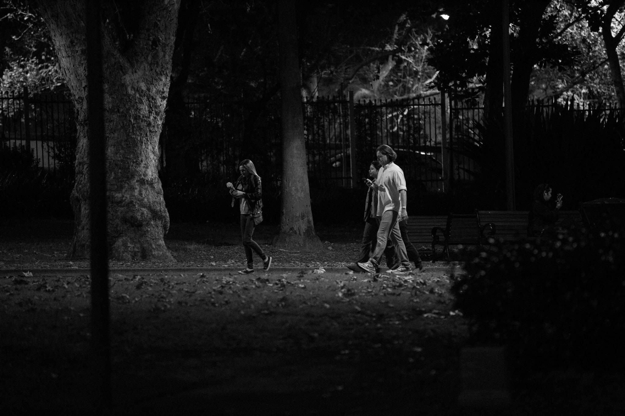 A trio walking through Belmore Park at night, one looking down at their phone.